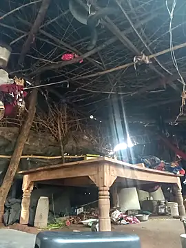 cute diya 12 online show from November 11, 3:28 am