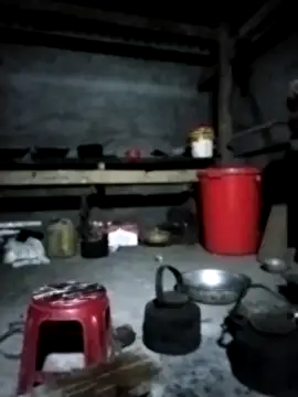 venu00 online show from February 8, 2:31 pm