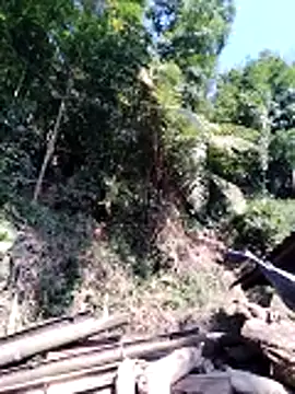 miss-su online show from February 5, 7:46 am