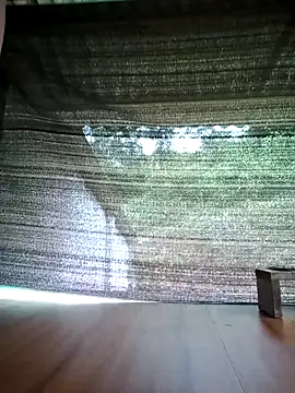 Georgia here online show from October 5, 12:31 am