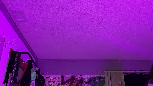 Snapshot of xoFrankie chatting on November 16, 5:13 am xoFrankie online show from November 16, 5:13 am