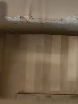 Snapshot of DarkNova9 chatting on October 17, 3:42 am DarkNova9 online show from October 17, 3:42 am