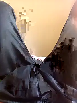 WrinkledTriops online show from March 29, 9:09 am