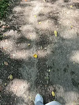 amo660 online show from September 20, 10:05 am