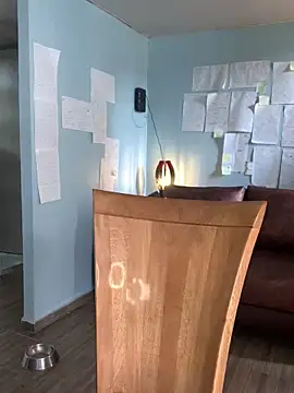 Snapshot of Canneela chatting on November 23, 6:08 pm Canneela online show from November 23, 6:08 pm