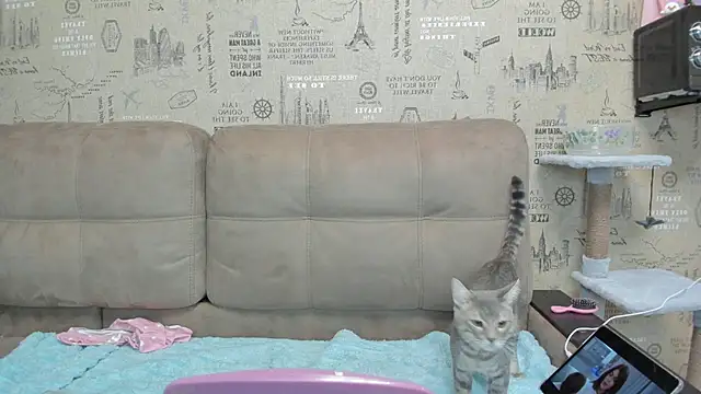 Snapshot of Kelly_Gerzikaa chatting on November 29, 1:41 am Kelly Gerzikaa online show from November 29, 1:41 am