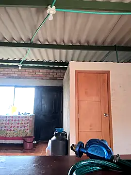 Snapshot of lamejorpene chatting on November 22, 6:29 pm lamejorpene online show from November 22, 6:29 pm