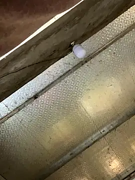 Snapshot of han-cute chatting on November 24, 6:24 am han-cute online show from November 24, 6:24 am