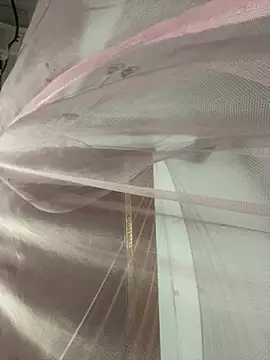 Pyy07 online show from March 14, 1:49 pm