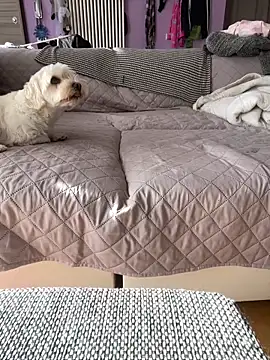 Snapshot of bananasex204 chatting on October 25, 12:02 pm bananasex204 online show from October 25, 12:02 pm