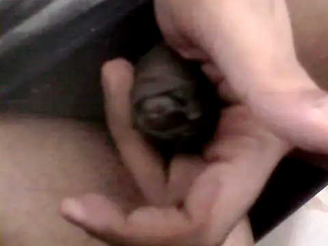 Bakasur 19 online show from October 9, 3:32 pm