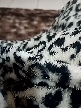 Snapshot of Gauderio40 chatting on November 21, 4:11 am Gauderio40 online show from November 21, 4:11 am