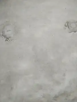 kute-00 online show from February 8, 1:53 am