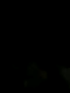 xxminou online show from December 23, 1:14 am