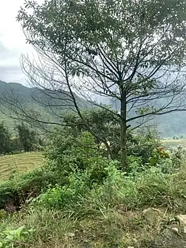 Snapshot of O_o_UwU_o_O chatting on November 6, 2:01 am O o UwU o O online show from November 6, 2:01 am