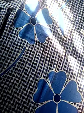 Snapshot of Renuka_GG chatting on November 4, 3:16 am Renuka GG online show from November 4, 3:16 am