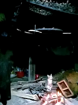 Snapshot of ngan-cute chatting on November 17, 1:28 pm ngan-cute online show from November 17, 1:28 pm