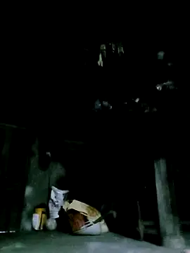 Snapshot of ngan-cute chatting on December 16, 10:09 am ngan-cute online show from December 16, 10:09 am