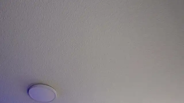  Charlotte Collins  online show from July 24, 4:27 pm