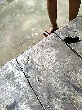 sexy  girls98 online show from December 3, 5:48 am