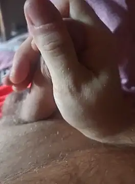 stunning stallion online show from October 8, 7:17 am