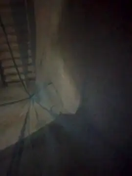 simi-lucy online show from November 28, 1:14 pm