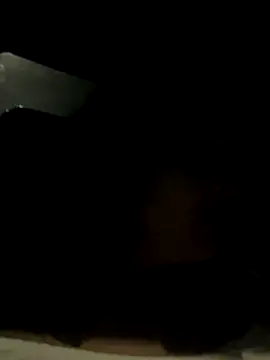 ditzycryztal online show from October 17, 10:07 am