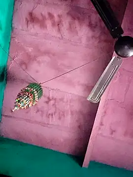 Pooja750 online show from February 6, 8:40 am