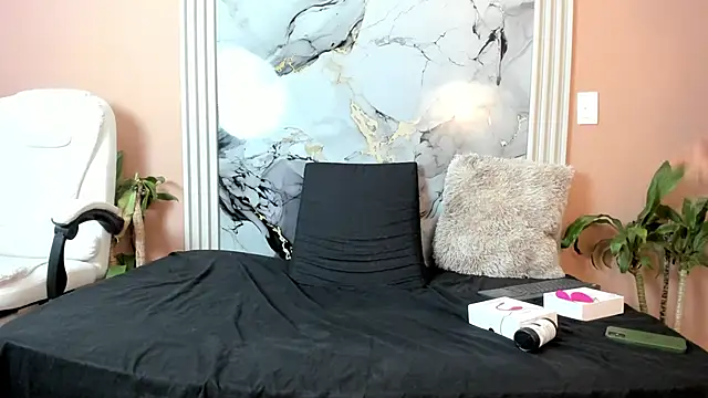 Snapshot of chatting on February 12, 12:33 pm online show from February 12, 12:33 pm