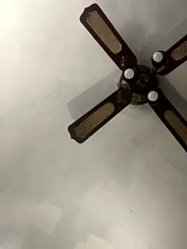 SucculentSexiness0 online show from March 12, 4:24 pm