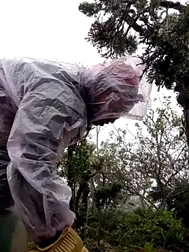 tcm-cute online show from November 3, 8:04 am