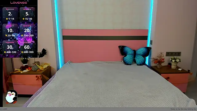 MeryMidnight online show from November 25, 6:57 am