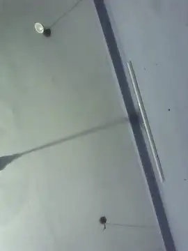 Snapshot of GirlsCrush_ chatting on September 29, 7:19 pm GirlsCrush  online show from September 29, 7:19 pm