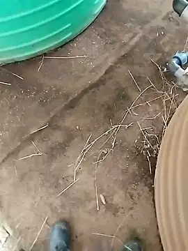 Snapshot of BigboyDick2 chatting on October 20, 12:38 pm BigboyDick2 online show from October 20, 12:38 pm