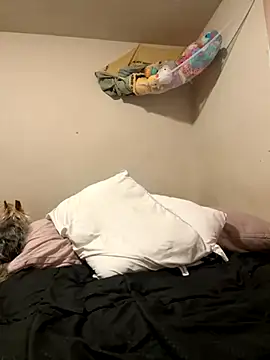 VanessaRose5362 online show from October 14, 2:29 pm