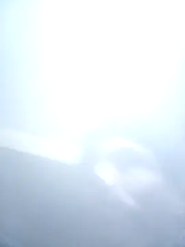 Bebicho14 online show from February 7, 1:31 am