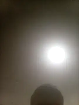 Bebicho14 online show from February 10, 4:22 pm