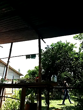 Snapshot of AlphaAlterX chatting on October 2, 6:04 pm AlphaAlterX online show from October 2, 6:04 pm