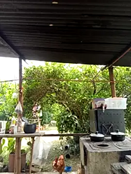 AlphaAlterX online show from March 11, 6:14 pm