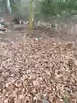 Snapshot of andymatthisbwc chatting on February 25, 2:59 pm andymatthisbwc online show from February 25, 2:59 pm