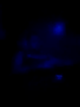 johnboones10 online show from November 16, 8:31 am