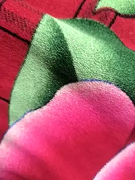 Snapshot of Family02 chatting on November 26, 4:41 pm Family02 online show from November 26, 4:41 pm