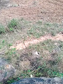 Shreyaaa 1 online show from November 6, 7:31 am