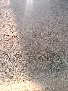 Shreyaaa 1 online show from November 7, 2:11 am