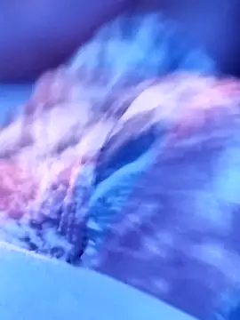 sertaonegro online show from November 14, 11:13 pm