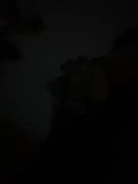 szk2412 online show from February 16, 1:40 pm