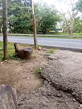 Snapshot of charlotte_dante212 chatting on November 23, 9:25 pm charlotte dante212 online show from November 23, 9:25 pm