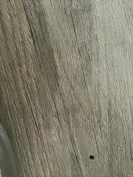 Snapshot of LunaSthena chatting on October 26, 6:25 pm LunaSthena online show from October 26, 6:25 pm