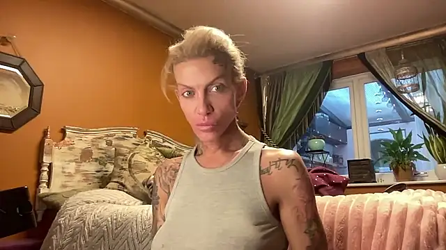 xl uk top trans online show from January 12, 8:52 am