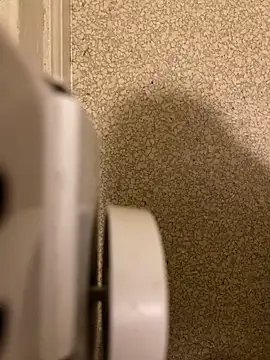 Pedro98801 online show from December 18, 3:56 am